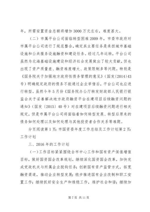 市国资委年度工作总结及工作计划.docx