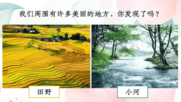 【三上课件】习作：这儿真美