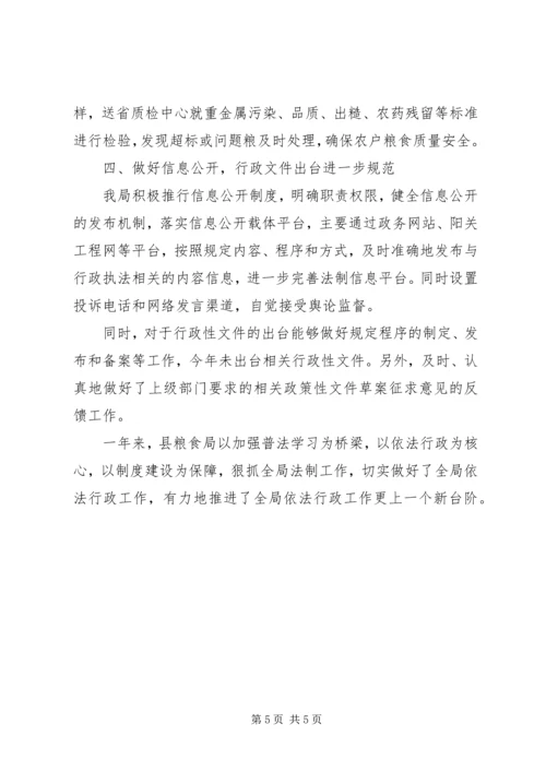 乡镇粮食局依法行政工作总结.docx