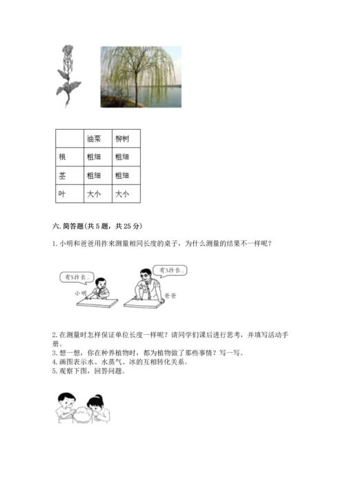 教科版一年级上册科学期末测试卷标准卷.docx