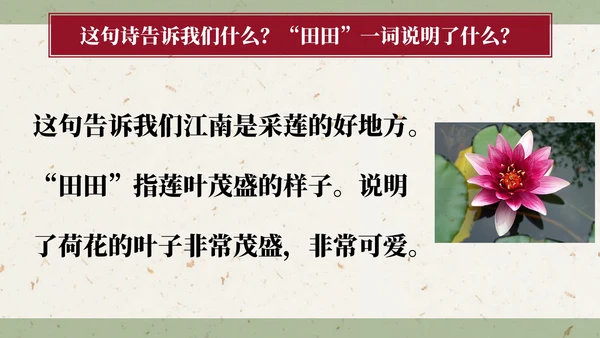 部编版一年级上册第三课《江南》