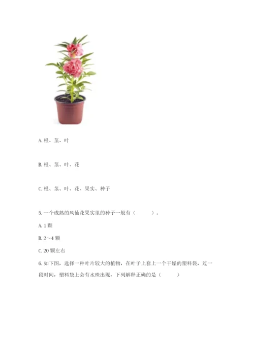 科学四年级下册第一单元《植物的生长变化》测试卷（模拟题）.docx