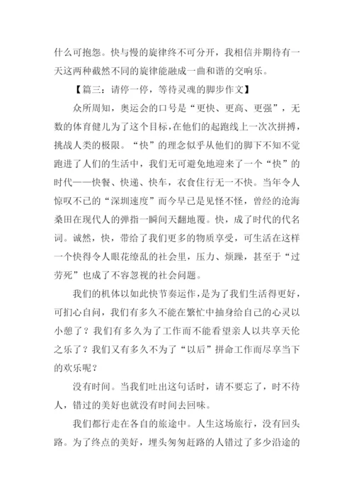 以快与慢为题的议论文.docx