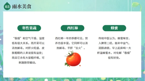 雨水节气春雨发芽背景通用PPT模板