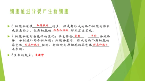 人教版生物七年级上册期中复习课件(共19张PPT)