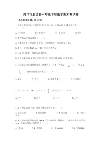 周口市鹿邑县六年级下册数学期末测试卷标准卷.docx