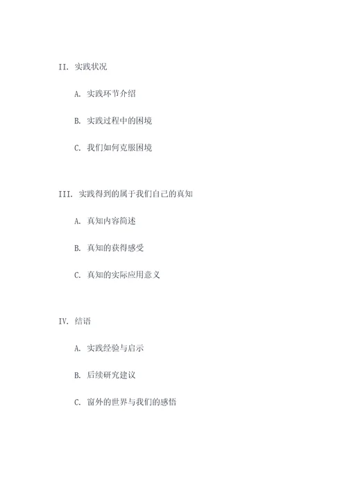 翻译实践报告论文提纲