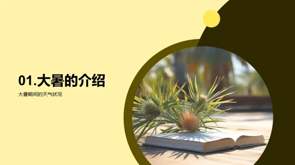 大暑生活指南