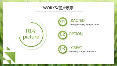 绿色农产品介绍宣传动态PPT模板