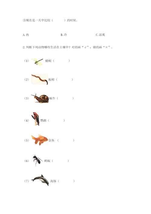 教科版二年级上册科学期末测试卷带答案（培优b卷）.docx