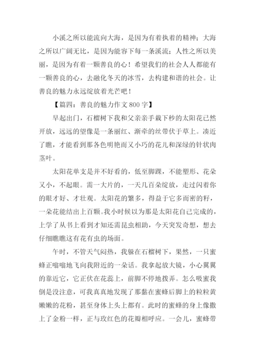 善良的魅力作文800字.docx