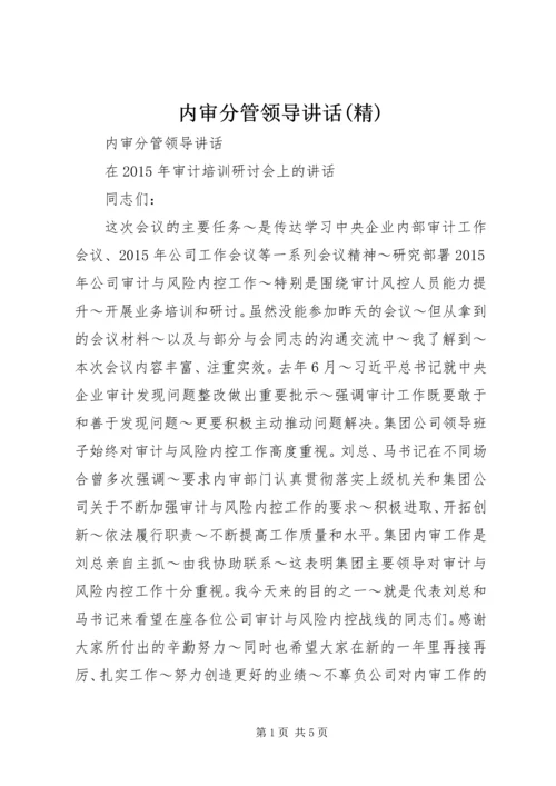 内审分管领导讲话(精) (3).docx