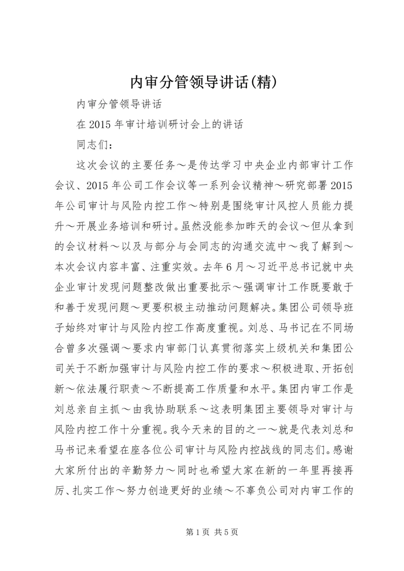 内审分管领导讲话(精) (3).docx