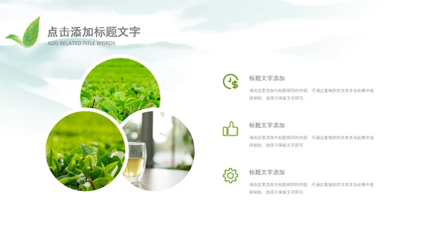 清新茶叶茶道春茶农村旅游茶园绿茶红茶PPT