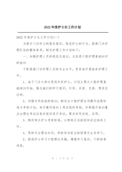 2022年度护士长工作计划.docx