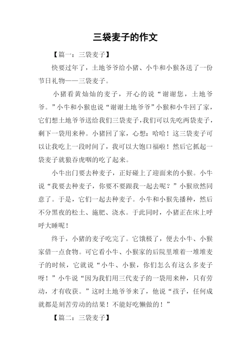 三袋麦子的作文.docx