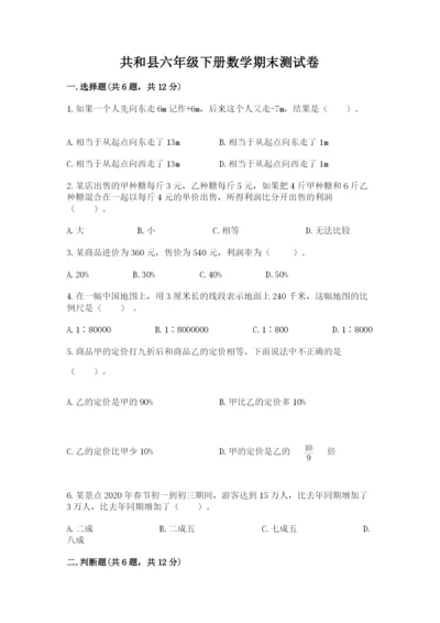 共和县六年级下册数学期末测试卷（预热题）.docx