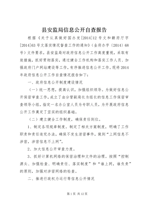 县安监局信息公开自查报告.docx