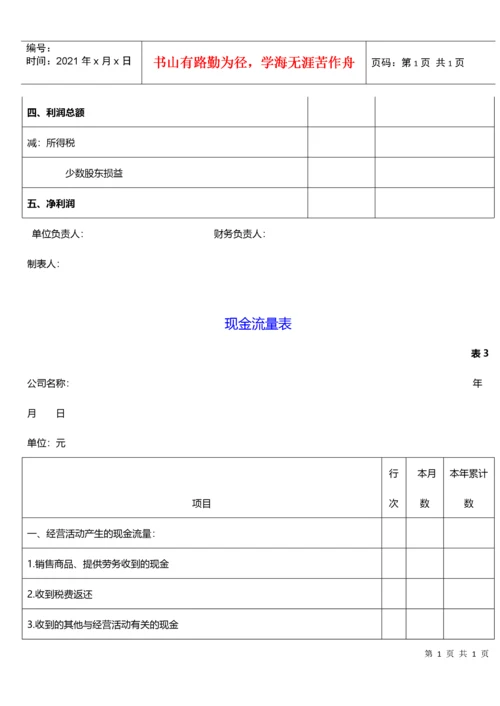 财务报表模板(全套).docx