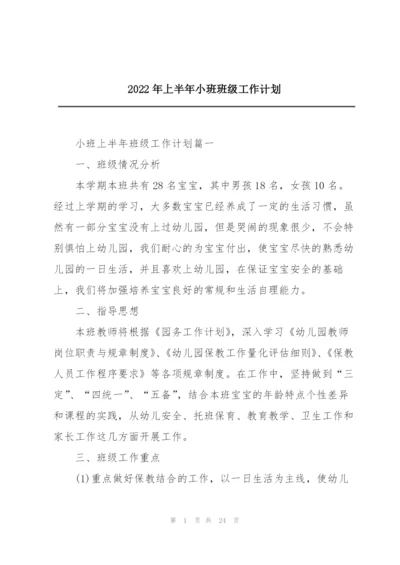 2022年上半年小班班级工作计划.docx