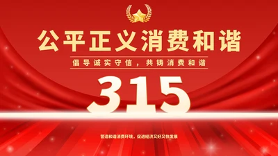 315消费者权益保护PPT模板