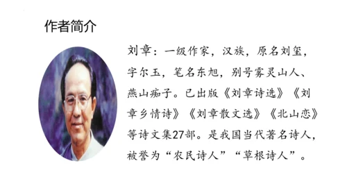 5 《搭石》(课件)