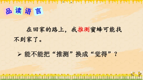 14《蜜蜂》课件