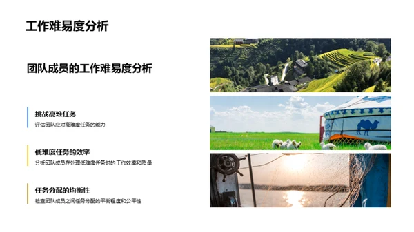 团队效能全面分析