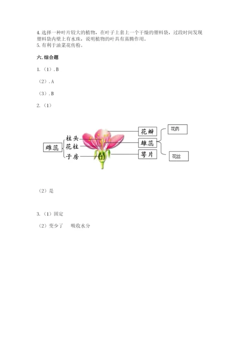 科学四年级下册第一单元《植物的生长变化》测试卷含完整答案【名师系列】.docx