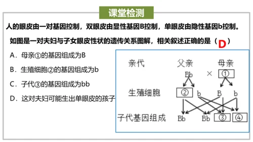 八下 第七单元复习课件(共58张PPT)