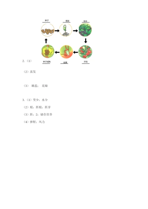 科学四年级下册第一单元《植物的生长变化》测试卷含答案（满分必刷）.docx