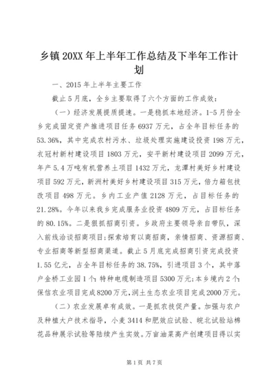 乡镇某年上半年工作总结及下半年工作计划.docx