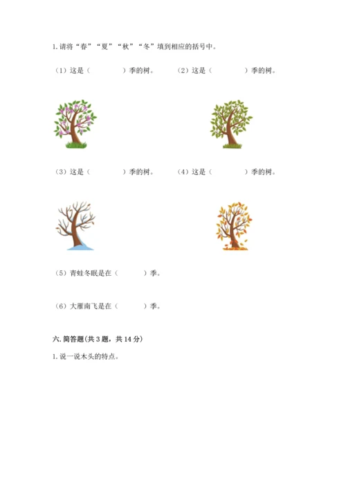 教科版科学二年级上册《期末测试卷》（历年真题）.docx