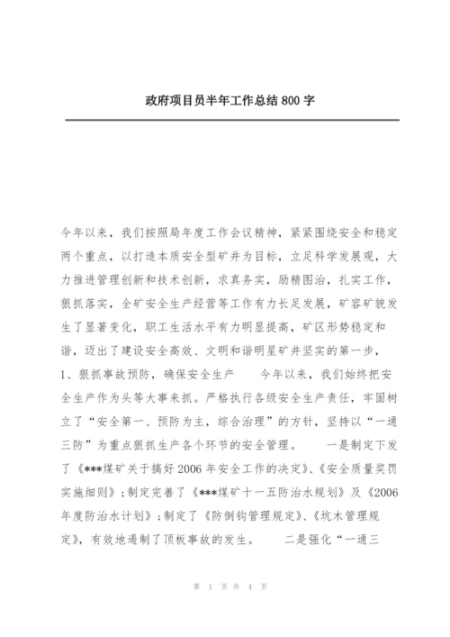 政府项目员半年工作总结800字.docx