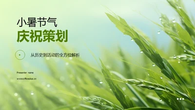 小暑节气庆祝策划