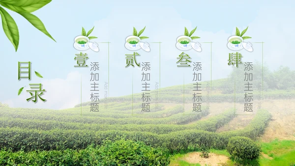 绿意新茶上市茶文化介绍通用PPT模板