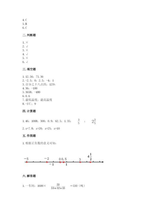 北京市朝阳区六年级下册数学期末测试卷精品.docx