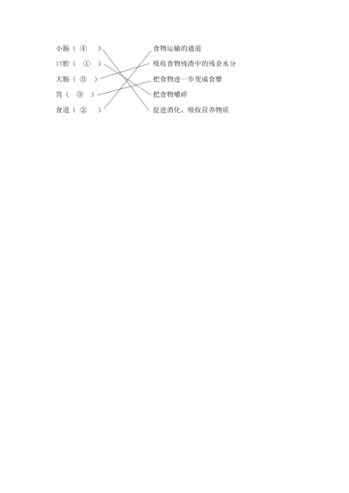 教科版四年级上册科学期末测试卷及答案（夺冠）.docx