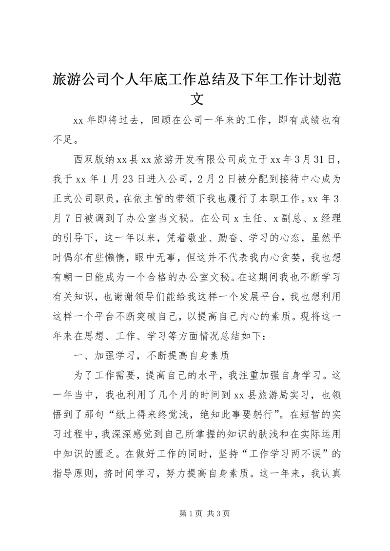 旅游公司个人年底工作总结及下年工作计划范文.docx