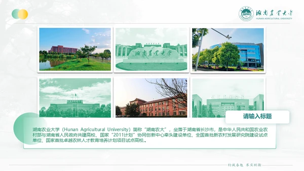 湖南农业大学毕业课题答辩通用PPT模板