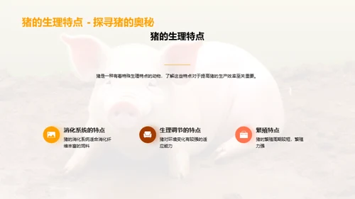 养猪新视角：效率与品质双提升