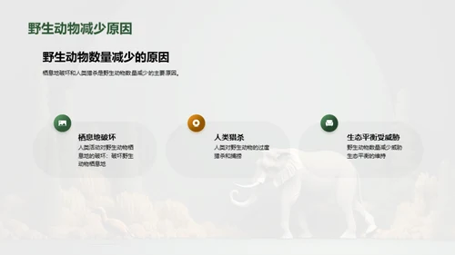 保护野生动物