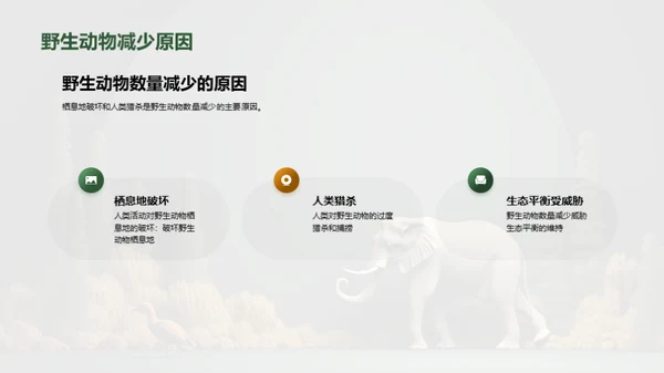 保护野生动物