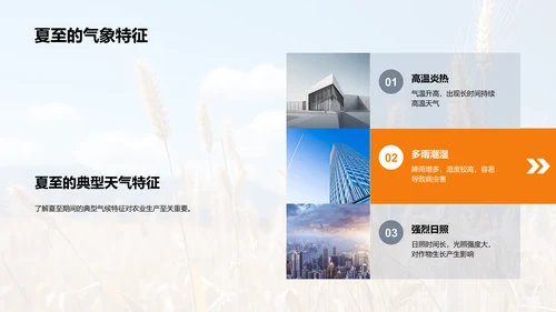 夏至农业气候指导