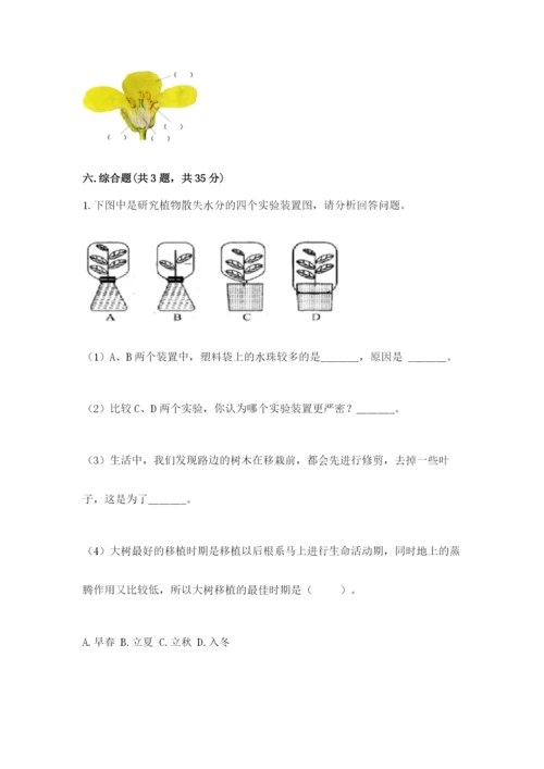 科学四年级下册第一单元《植物的生长变化》测试卷精品.docx