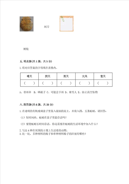 教科版二年级上册科学期末考试试卷及参考答案轻巧夺冠