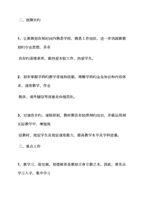 教师传帮带实施专题方案.docx