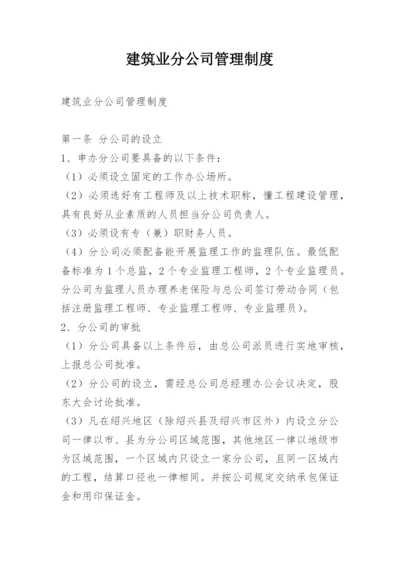 建筑业分公司管理制度.docx