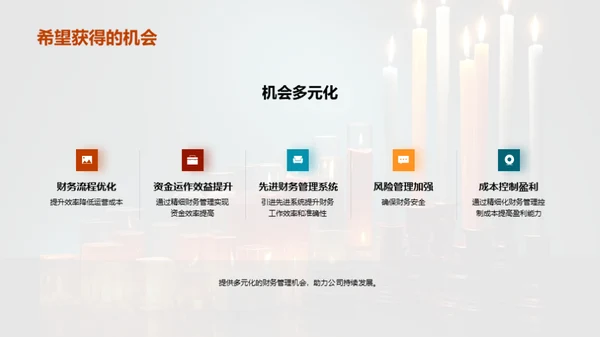 财务优化与风险策略