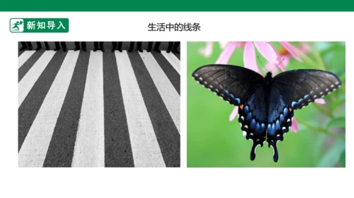 第二课《画中的线条》课件